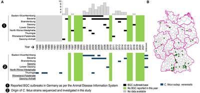 Genomic epidemiology of Campylobacter fetus subsp. venerealis from Germany